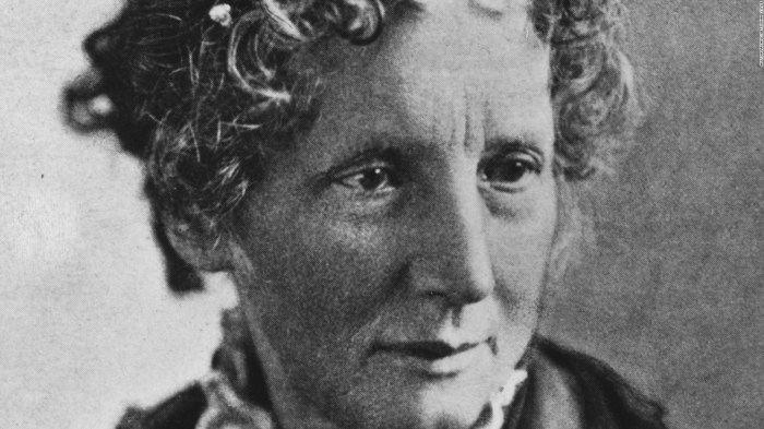 Harriet beecher stowe apush definition