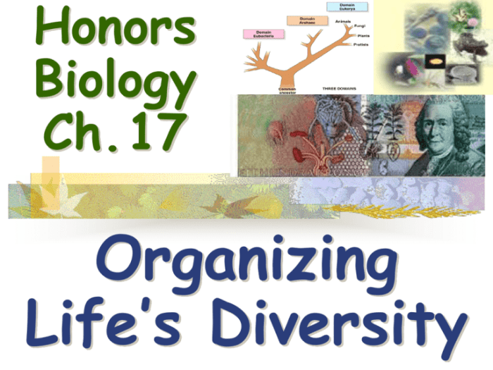 Organizing life's diversity 17.1 answer key