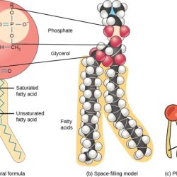 Corresponding drag sensory