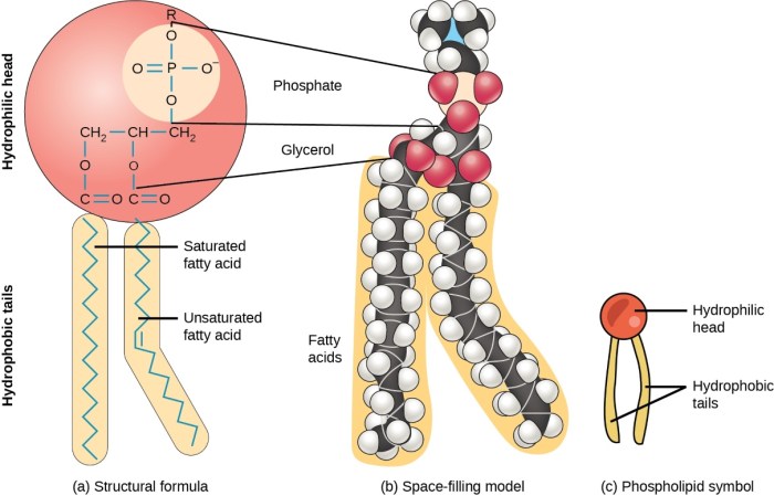 Corresponding drag sensory