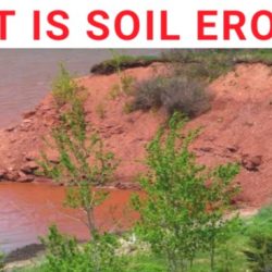 2010 erosion increased worst violent storms pacific record closures reinforcement caused seek winter during road city has coastal pilings permission