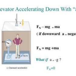 Calculate the magnitude of the acceleration of the elevator