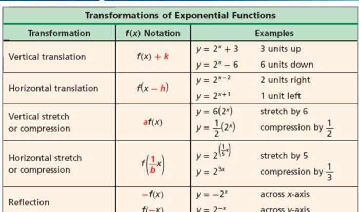 Exponents and exponential functions unit test