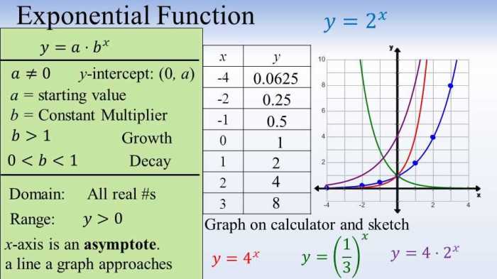 Exponents and exponential functions unit test